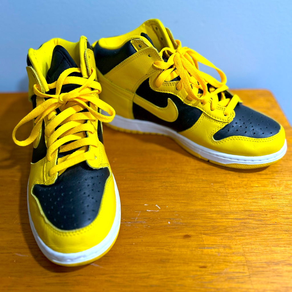 Nike Ht Dunks